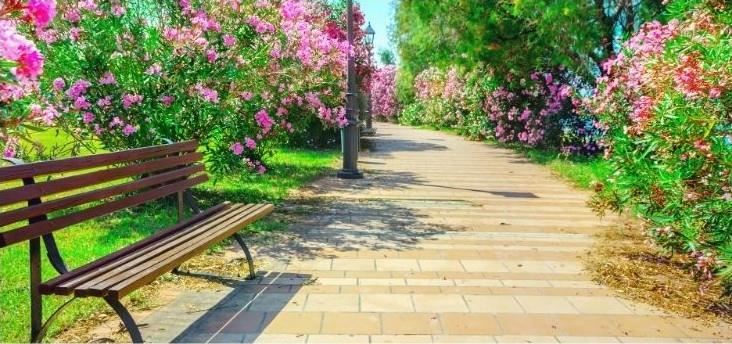 A park bench